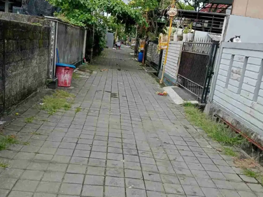 Di jual tanah jalan Kertadalem sari, Sidakarya , Denpasar, Bali