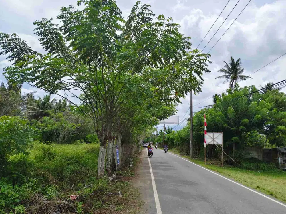 Dijual murah Tanah lahan di tanjung kait Tanjung anom Mauk Tangerang