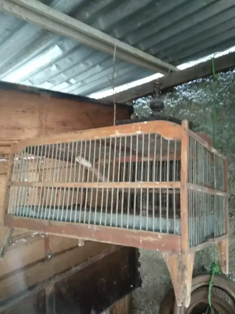 Kandang buat mandiin burung murah bahan kayu jati dan besi