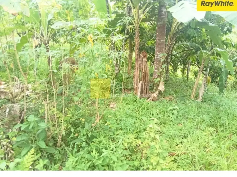 dijual tanah di Teluk Betung Utara, Bandar Lampung (Kode : TR 3448)