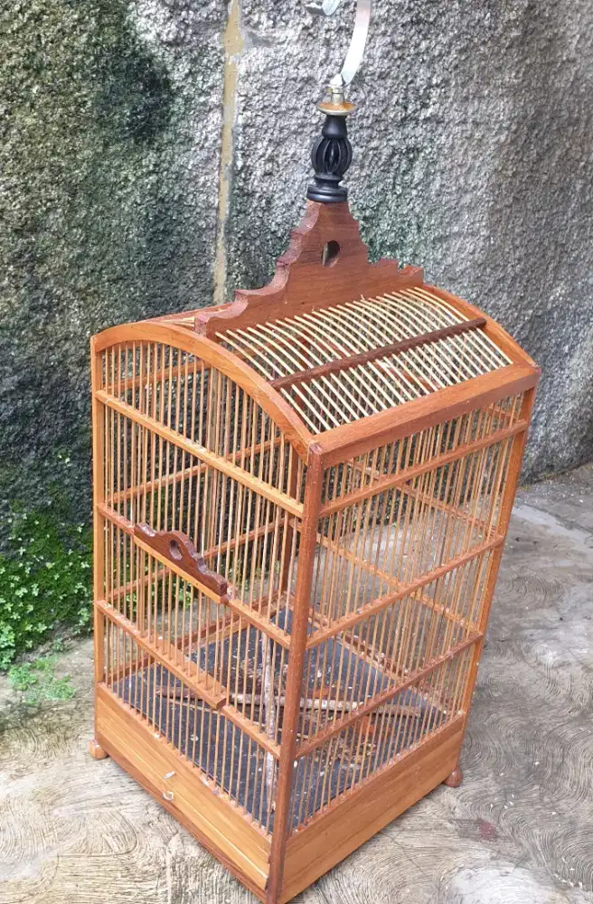 Sangkar kosan no 4 jari rapet