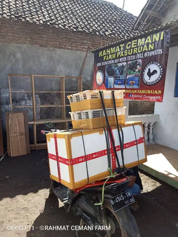 Mesin penetas telur otomatis