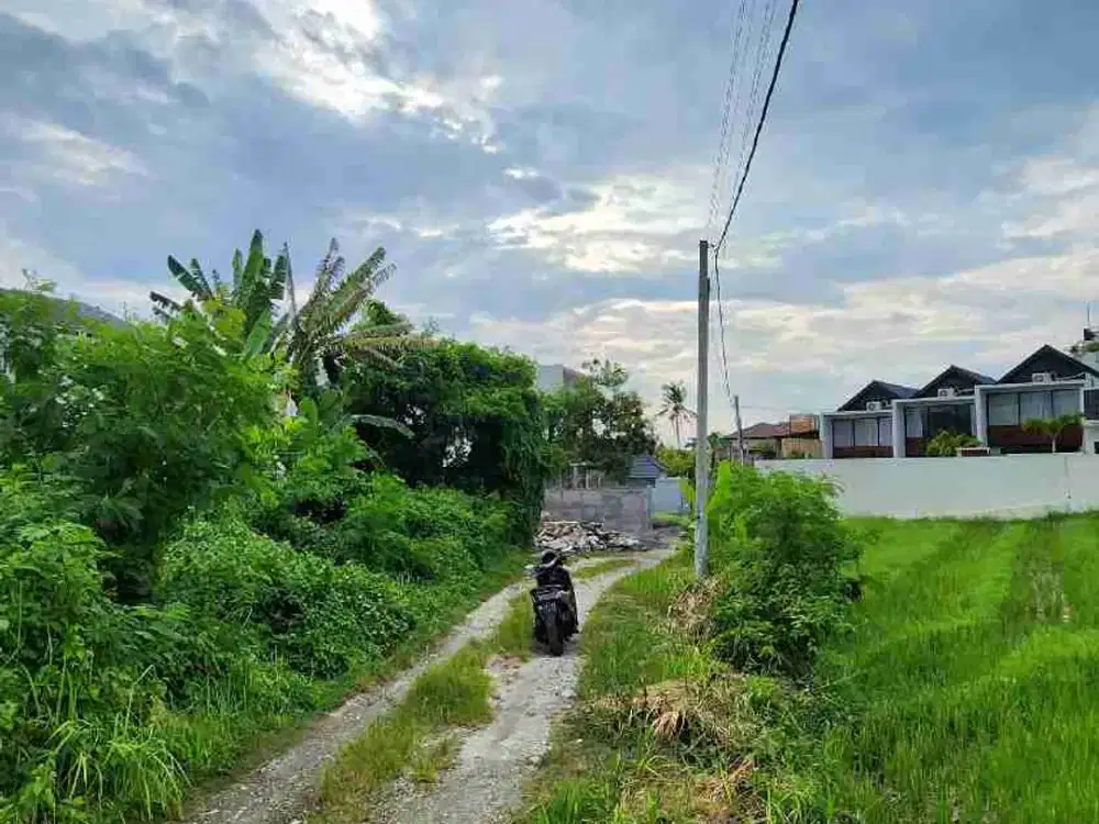 Di jual tanah sangat langka dekat dengan pantai pererenan sangat cocok di bangun villa