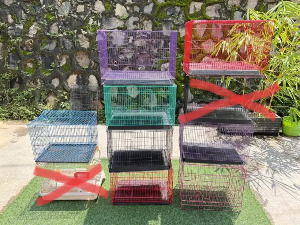 Kandang second murah meriah