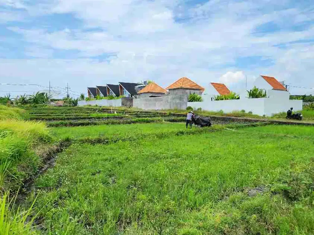 Di kontrakan tanah dekat pantai seseh cocok untuk di bangun villa & guest house