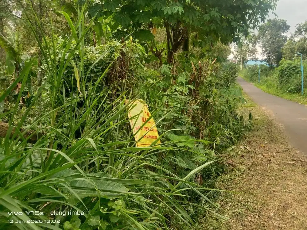 Dijual murah tanah kebun luas 700 posisi 0 jln aspal