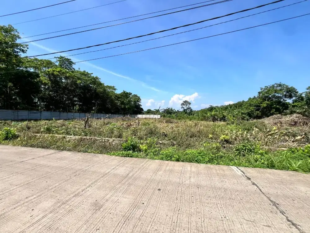 Tanah Murah Cisauk Mulai 1 Jt-an, Dekat Stasiun Jatake BSD