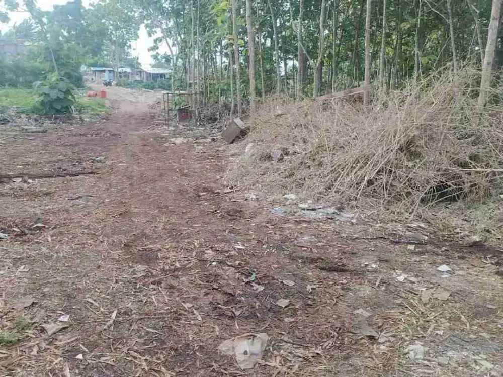 Di jual lahan baru di buka desa kutuh Badung sangat cocok untuk komersil bisa ambil plot kecil