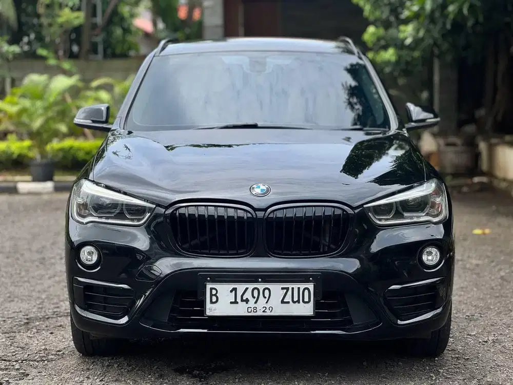 BMW X1 sDrive AT 2016