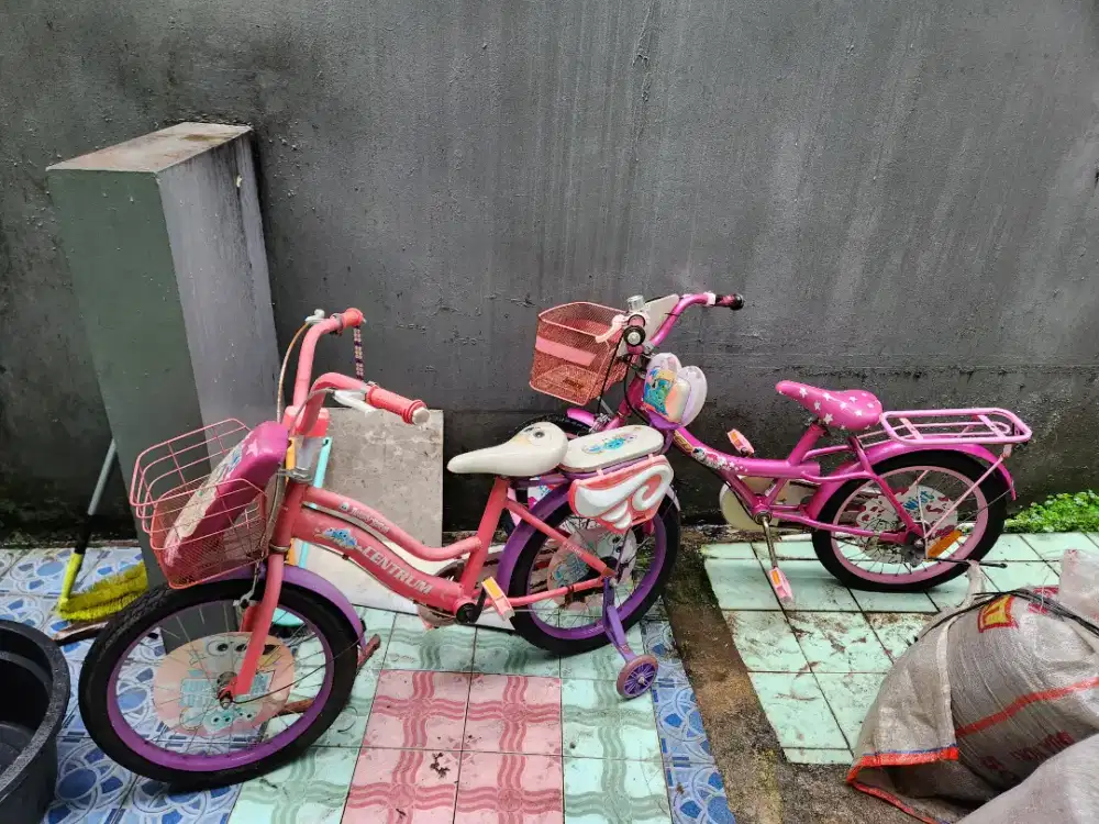 Sepeda anak umur 4tahun keatas