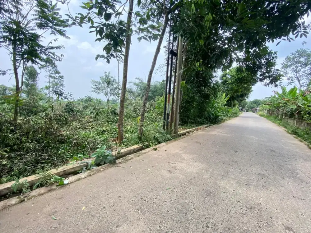 Strategis Tepi Jalan Tanah Kavling Cisauk, Dekat Stasiun Jatake BSD