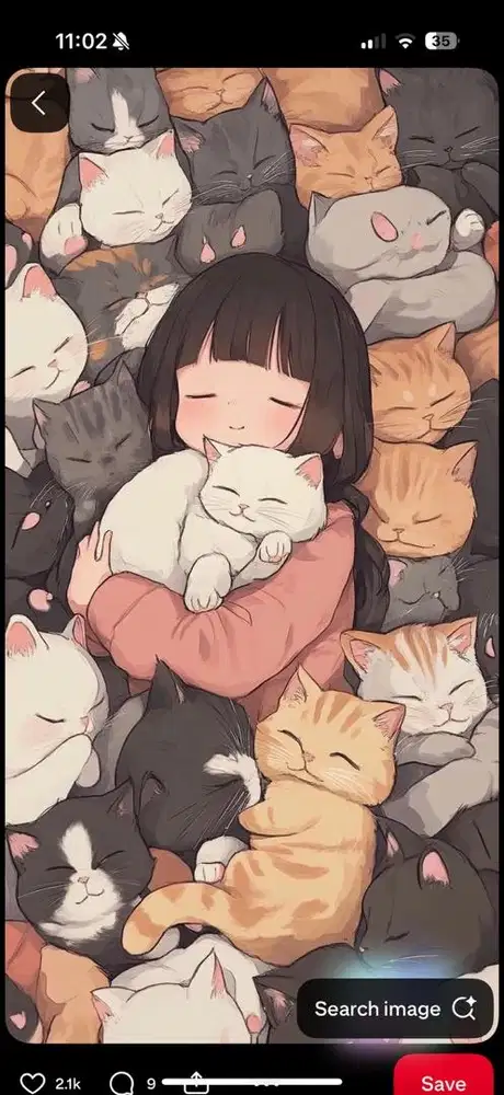 DICARI CAT SITTER (Pengurus Kucing)