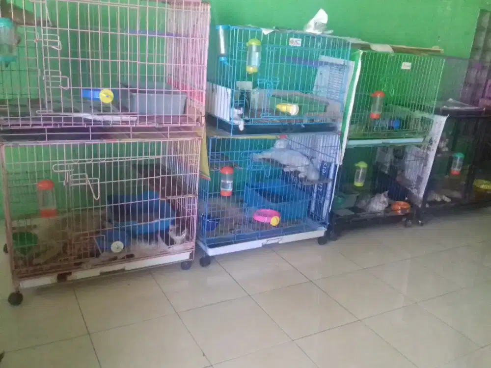 Kandang besi tebal ,panjang 75cm