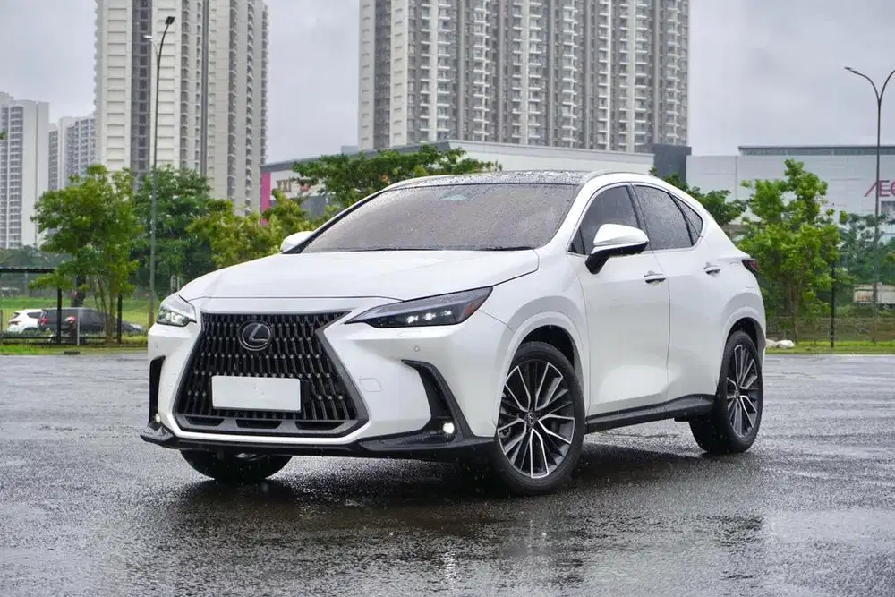 Lexus NX350h Hybrid Facelift Luxury A25A-FXS 2023 / 2024 Putih Mulus