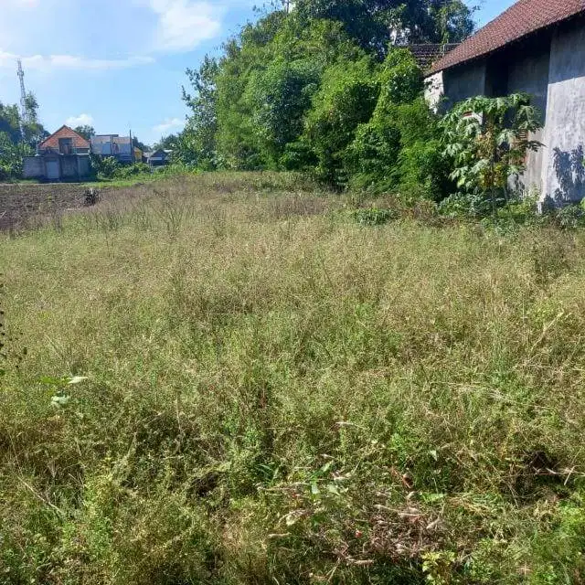 Dijual sebidang tanah luas 899 m² di Kenongo Tulangan, Sidoarjo