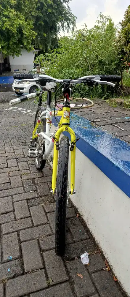 Sepeda ALPINESTAR ALMEGA DX