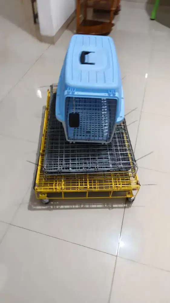 Kandang kucing & pet Cargo (harga baca deskripsi)