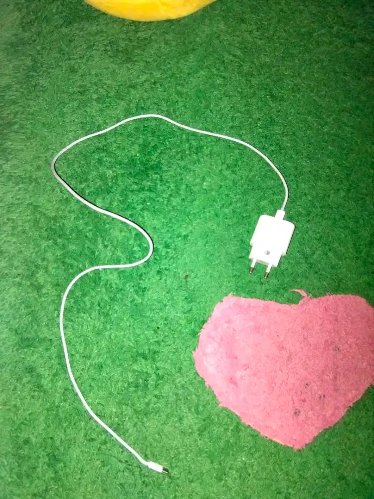 Charger Type C to Type C