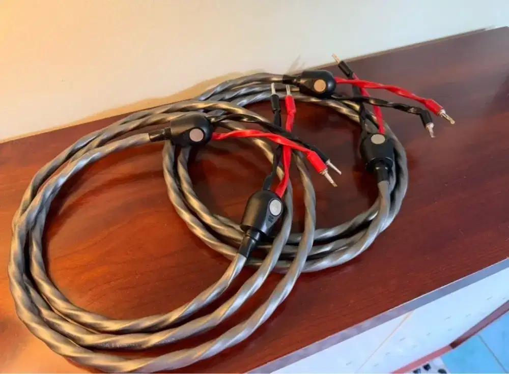 Wireworld Equinox 8 speaker cable kabel elektronik banana plug second