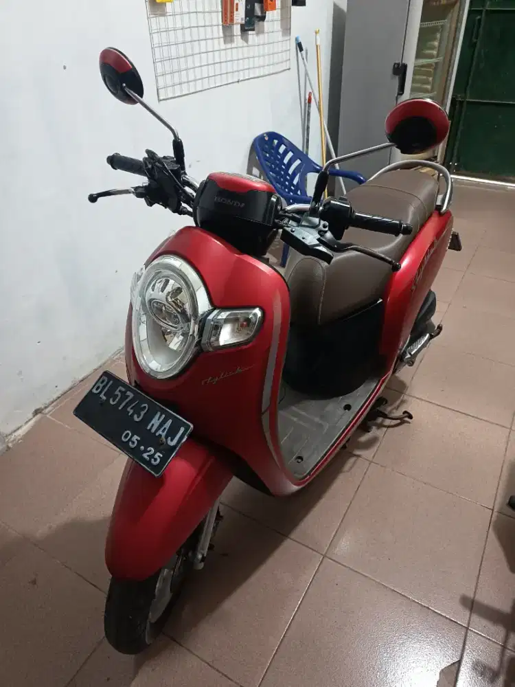 Scoopy stylis 2020 pajak hidup