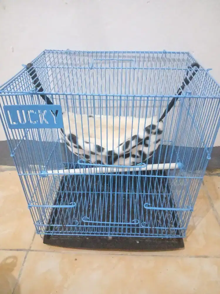 Kandang sugar glider