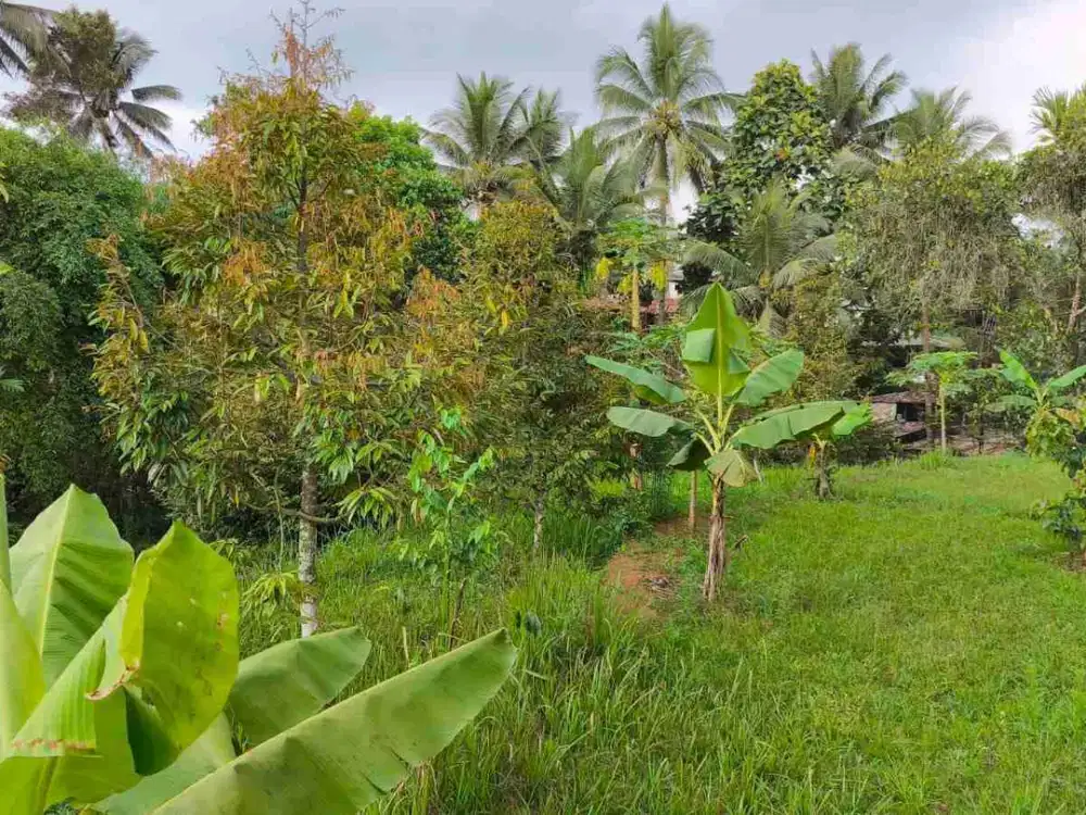 tanah dan vilaa murah dijual cepat d