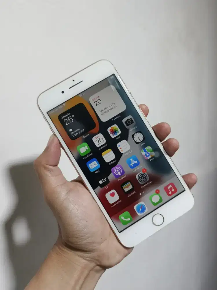 Ip 8plus 64 gb bh 100%