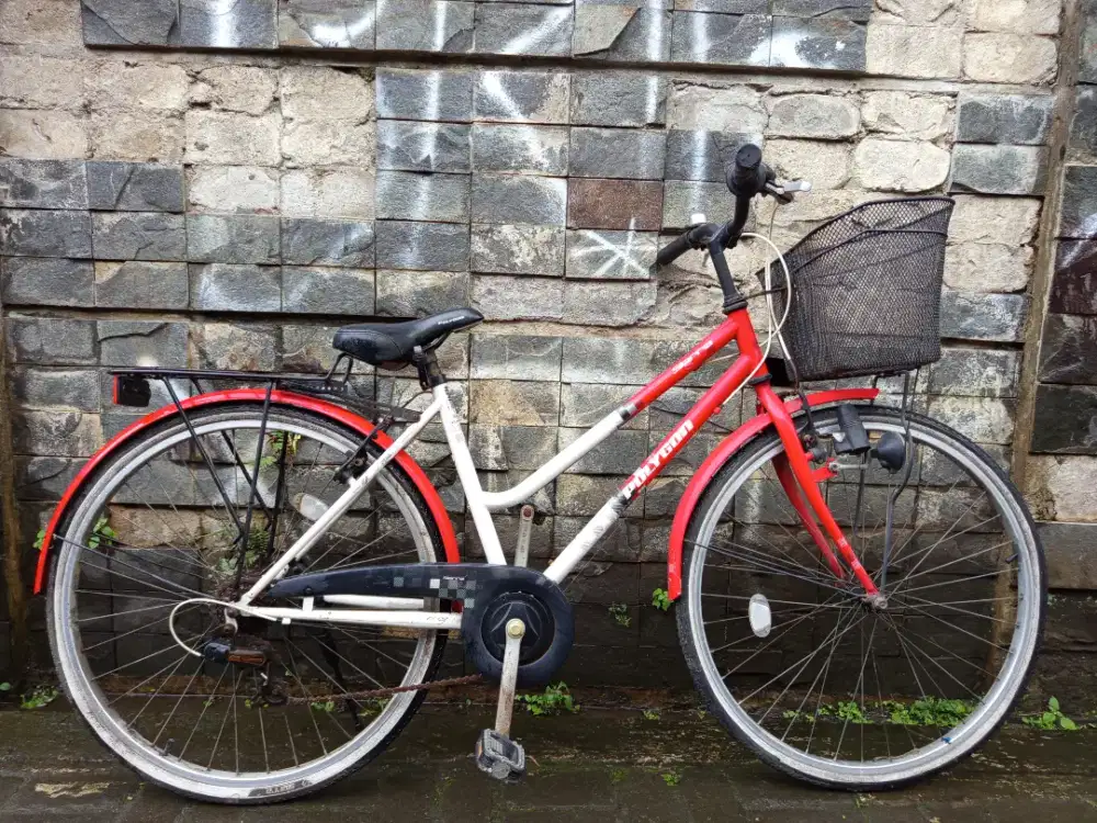 Sepeda Polygon Siera