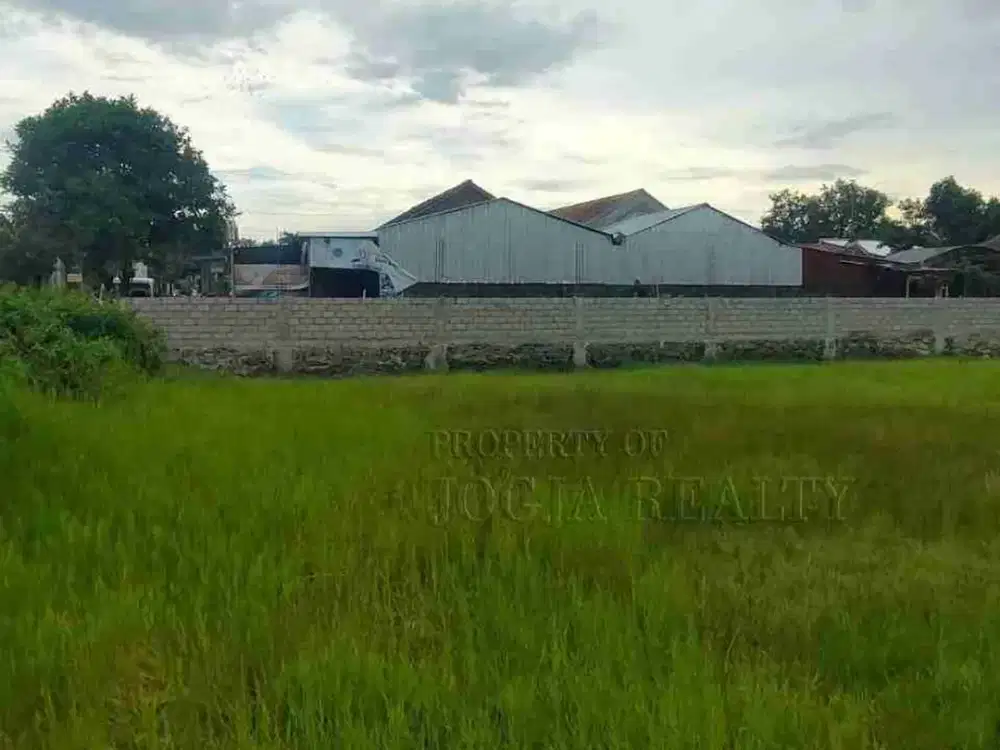 Tanah Dijual Jogja SHM Luas Dekat Kampus ISI di Sewon Bantul Yogyakarta