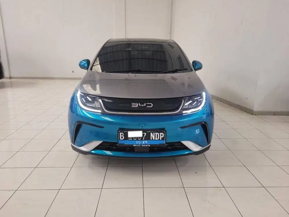 BYD Dolphin Premium 2024