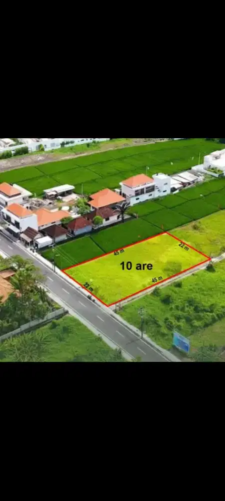 Dijual tanah 10 are pinggir jln utama mengening cemagi dkt canggu bali