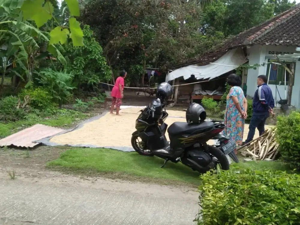 DIJUAL MURAH TANAH PEKARANGAN KOSONG 4 MENIT KE JALAN RAYA BANTUL