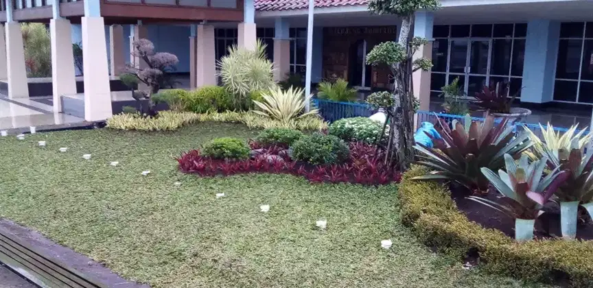 Menerima pembuatan taman minimalis di rumah, kantor, lapangan padel