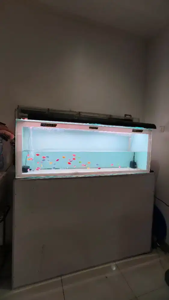 Akuarium 1 set ukuran 1,5 meter