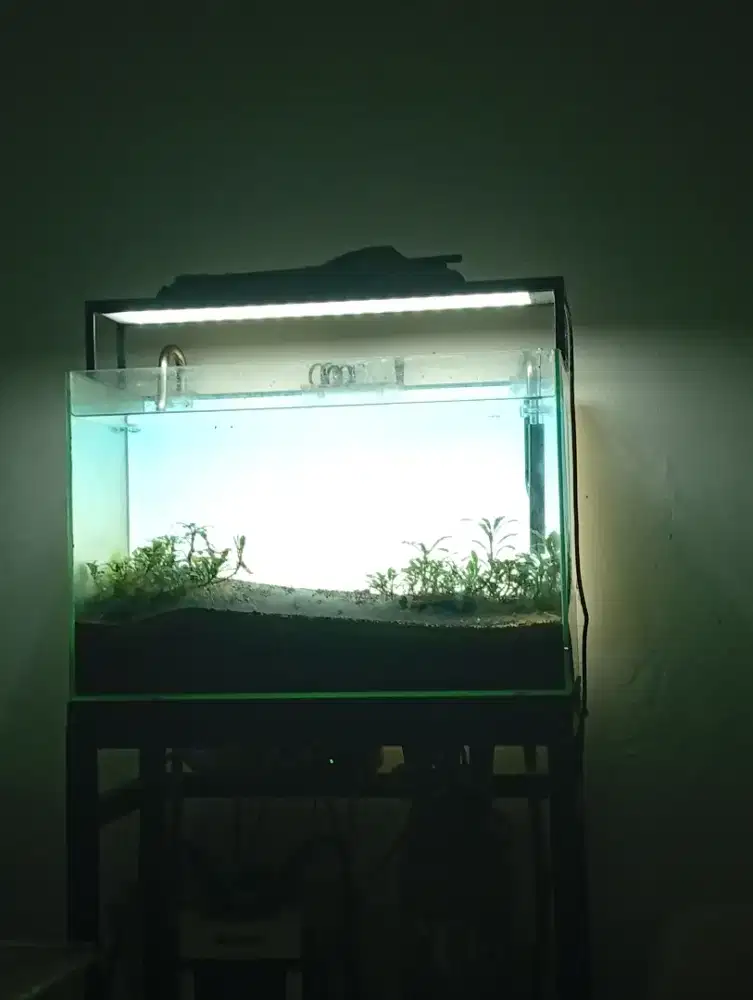 Aquarium Aquascape full set