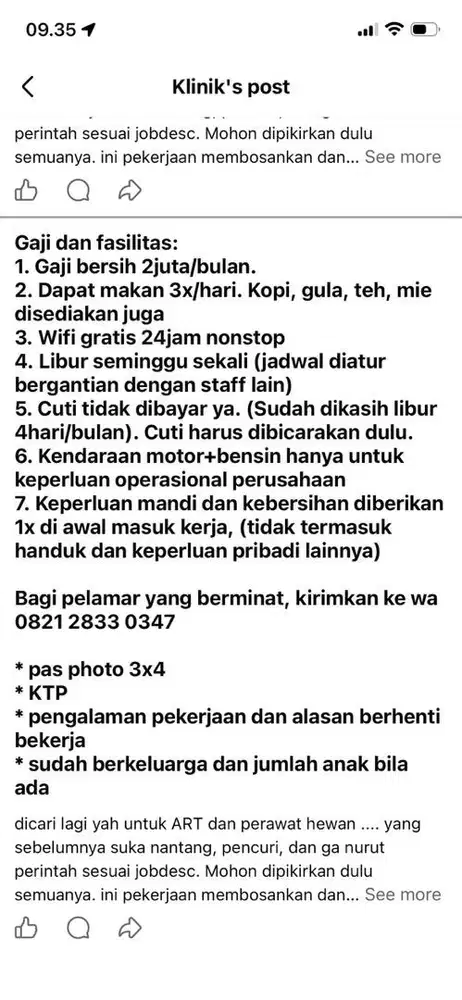 lowongan kerja ART / perawat kucing