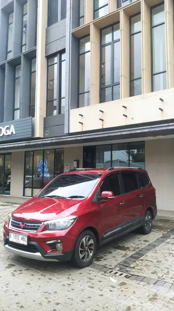 CONFERO S-LUXURY 2017 MT