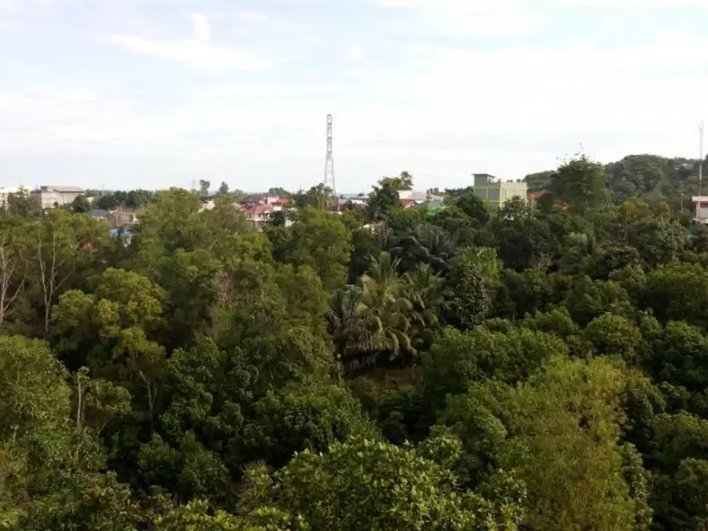 Sewa tanah di jalan poros Sungai Ampal Balikpapan 3626 m2