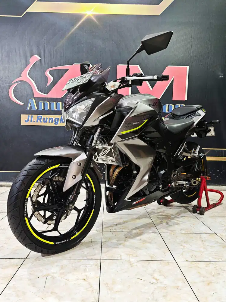 Kawasaki Ninja Z250 FI STD TH 2017 naked bike siap angkut gas riding