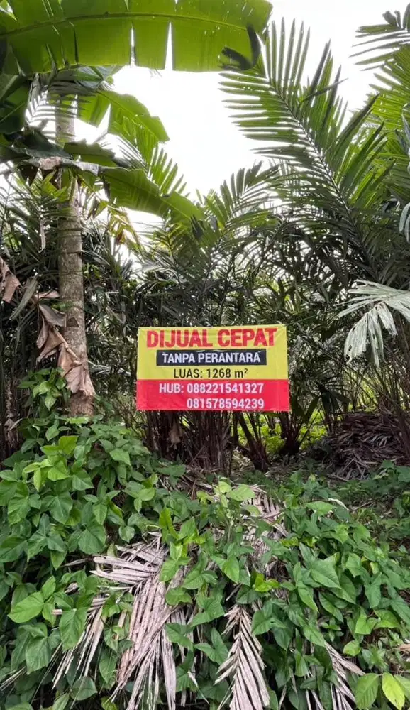 DIJUAL TANAH DUKUH, DONOKERTO, TURI SLEMAN