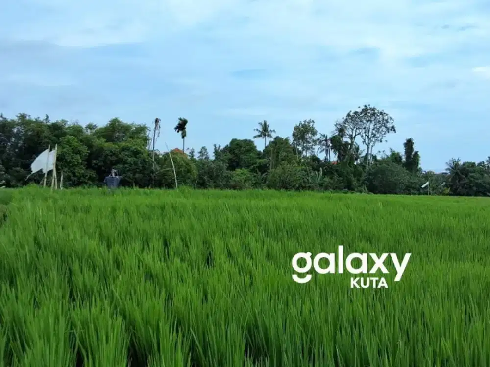 LEASEHOLD TANAH SPAM PENET CEMAGI BADUNG, BALI