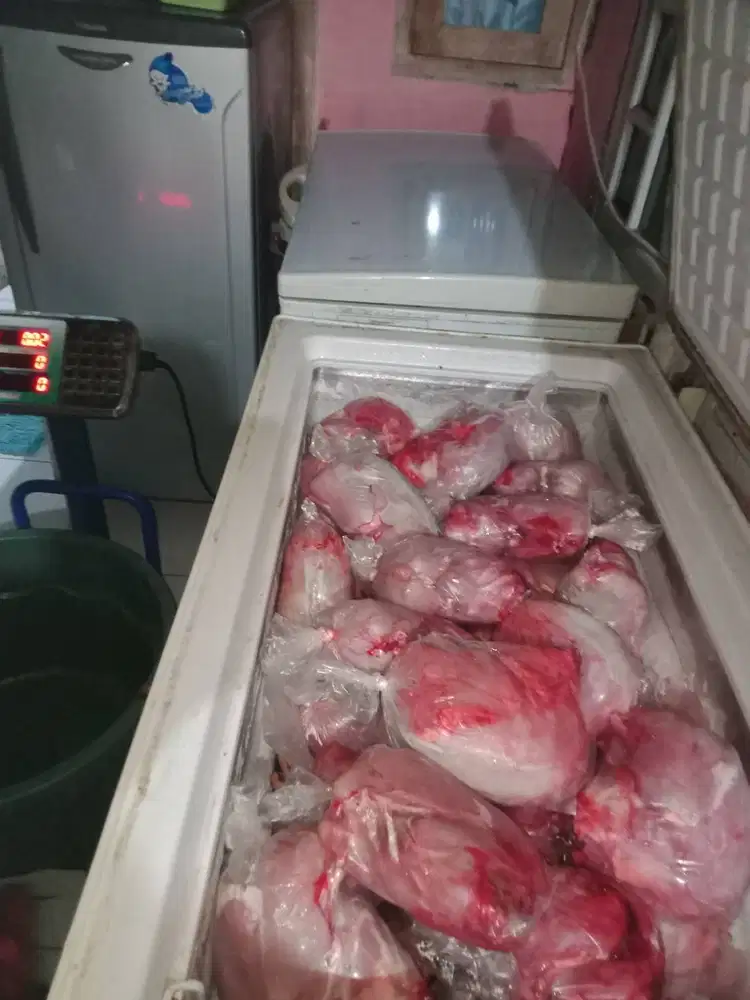 Daging Kelinci Premium Segar