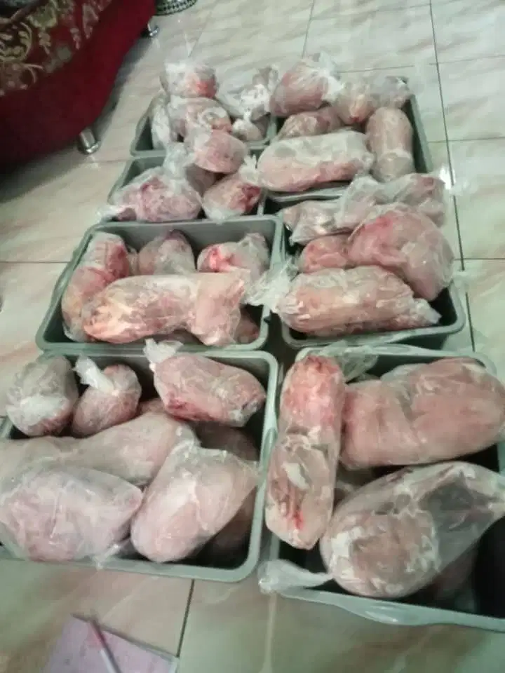 Daging Kelinci Segar untuk Pakan Anjing/Kucing