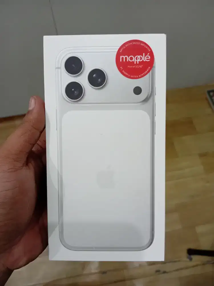 Ip 17 pro 256 silver