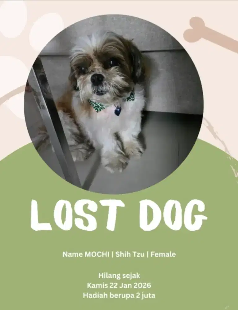 Anjing hilang tgl 22 jan 2026