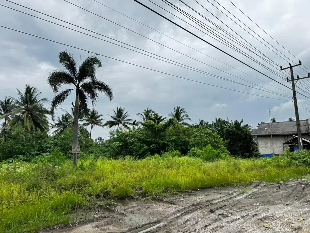 tanah dijual dipinggir jalan lintas sumatra