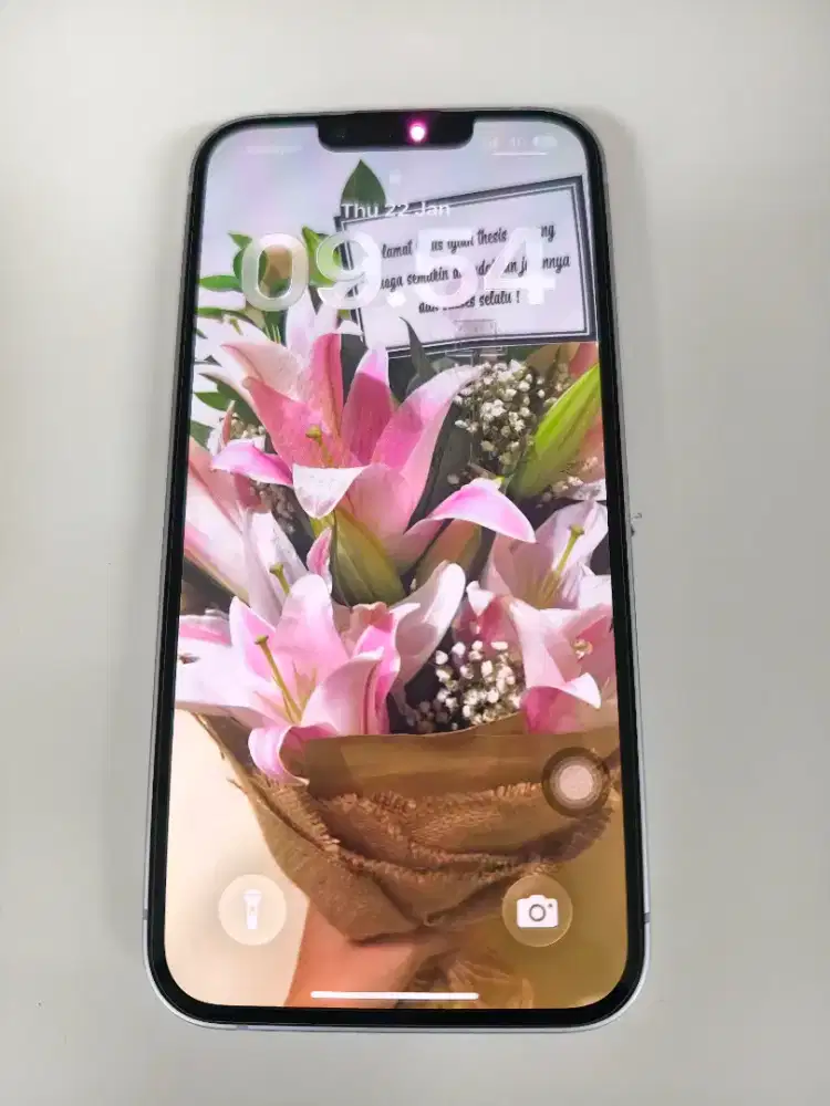 Apple iPhone 14 256gb 2nd ex resmi