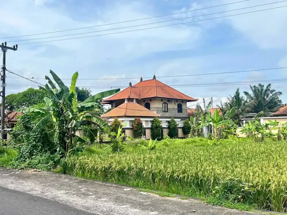 Jual Tanah View Sawah Di Singakerta Ubud Bali. Lingkungan Villa. Cocok Untuk Usaha Restoran Dan Villa Komersil.