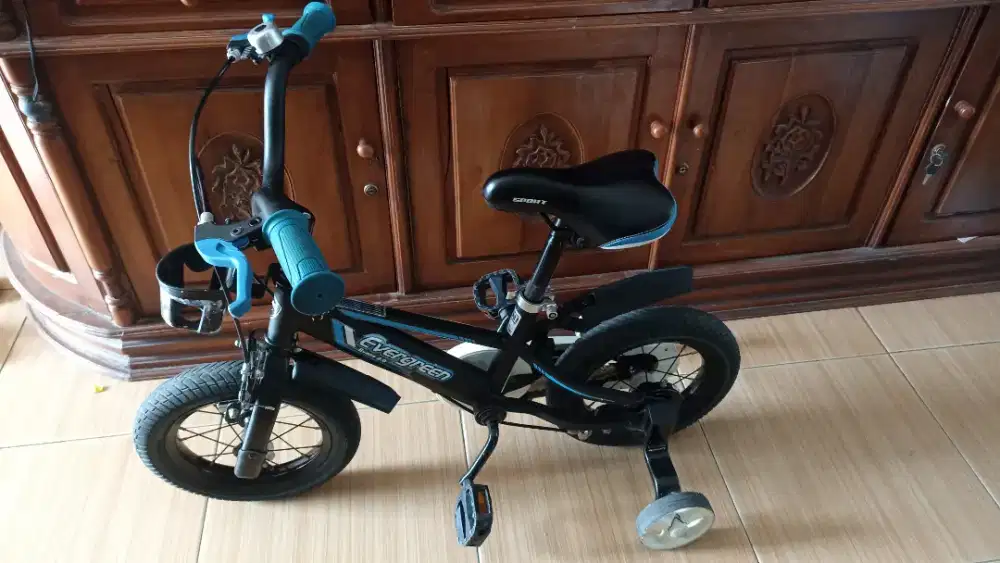 SEPEDA ANAK LAKI MERK EVERGREEN MULUS
