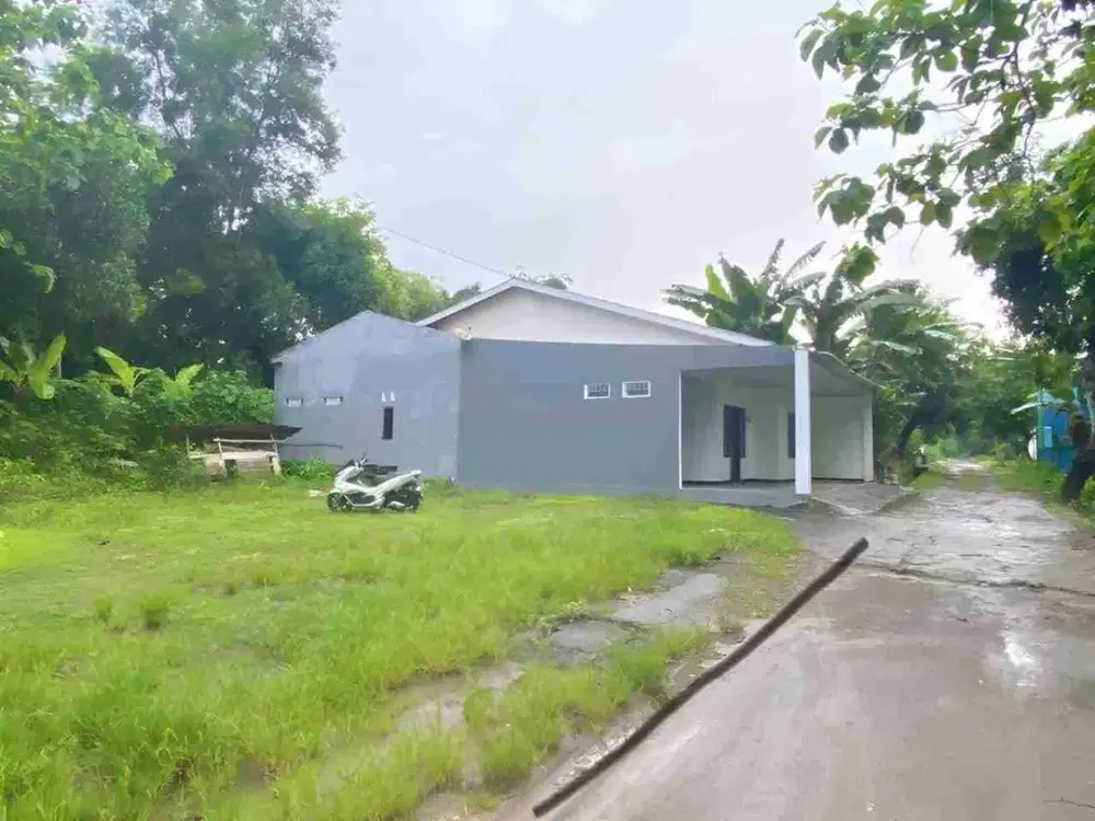 Tanah Pekarangan Murah Dolopo